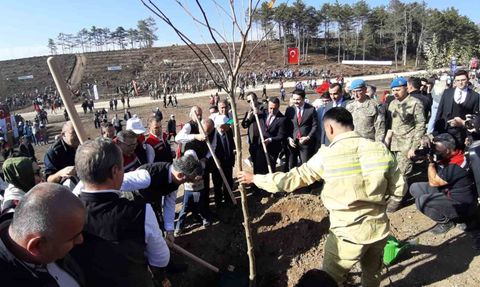 Delice'de yanan orman 11 Kasım'da binlerce fidanla yeniden yeşerdi