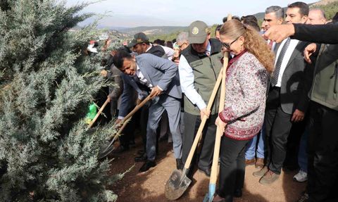 Denizli'de Yangın Bölgesinde Binlerce Fidan Toprakla Buluştu