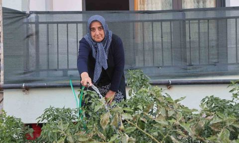 Depremzede Kadın Bahçesiyle Yeni Yuvasını Güzelleştiriyor