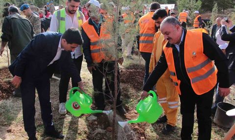 DEPSAŞ Enerji Makam Dağı’na 3 bin fidan dikti