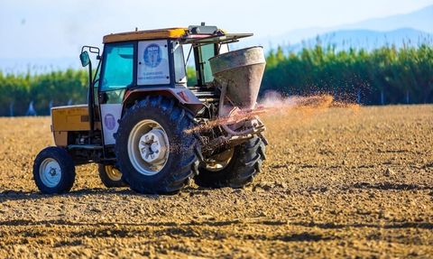 Didim'de 70 dönümlük arazide buğday ekimiyle yerel üretim güçlendiriliyor