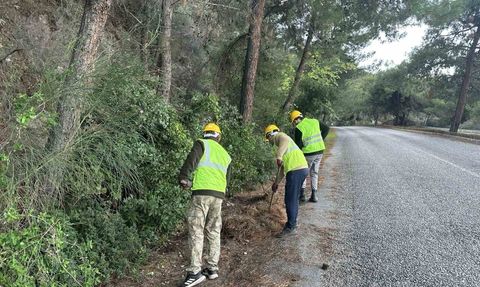 Dilek Yarımadası Milli Parkı’nda yangın riskini azaltma çalışmaları sürüyor