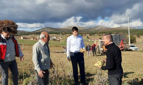 Dumlupınar Kaymakamı Teltik Eyidemir'de şeker pancarı hasadını inceledi