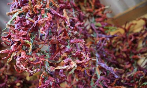 Edirneli üreticiler ata tohumundan elde ettikleri organik ürünleri Millet Bahçesi'nde satıyor