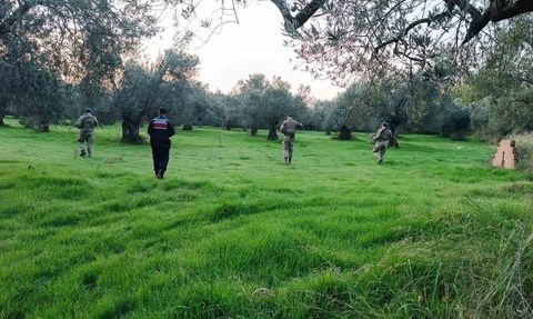 Edremit'te jandarma komandoları zeytin hırsızlığına karşı 24 saat görevde