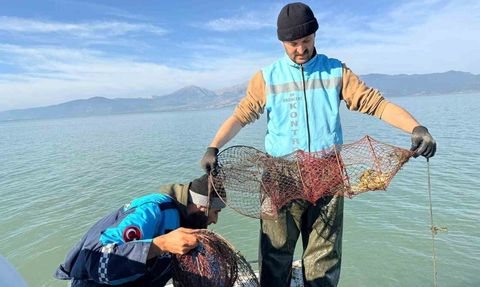 Eğirdir Gölü'nde 300 kaçak kerevit pinteri ele geçirildi