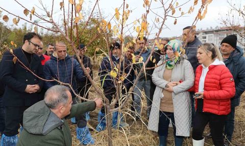 Elazığ'da Meyve Ağaçları İçin Budama ve Aşılama Eğitimi Tamamlandı