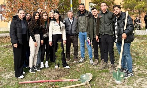 Emet MYO'da 100 sedir ve 60 karaçam fidanı dikildi