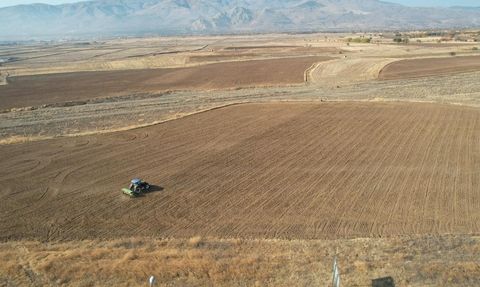 Erzincan Belediyesi uygulama tarlalarında hububat ekimi