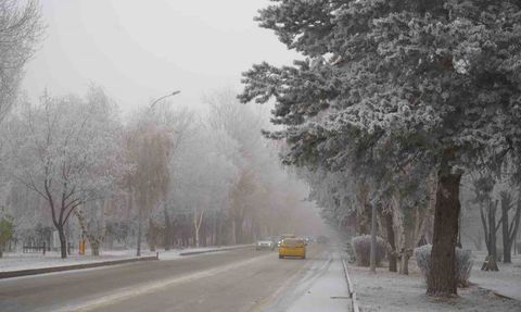Erzurum'da 3 gündür süren soğuk: kırağı ve sis etkili