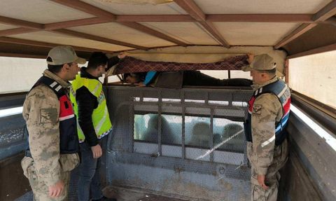 Erzurum'da Düzensiz Göçmen Operasyonları Başarıyla Devam Ediyor