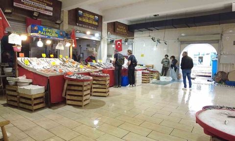 Foça Balık Hali'nde kış: Sardalya ve Uskumru zamanı