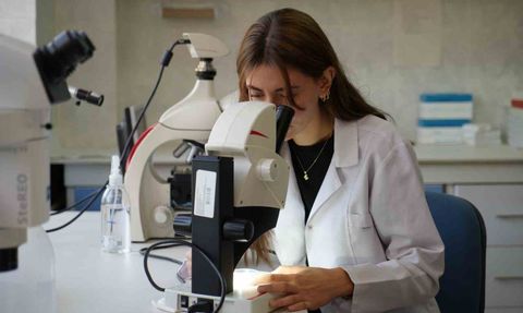 Gaziantep'te 'üvez' istilası: Sıcak sonbahar sinekleri artırdı