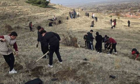 Geleceğe Nefes: Demirkent TOKİ Ortaokulu Yaylabaşı'nda 50 Fidan Dikti