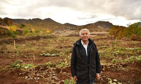 Giresun'da Emekli Müdürün Antep Fıstığı Bahçesi