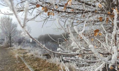 Göle'de hava eksi 14,6'ya indi, kırağı ve zorlu soğuklar etkili