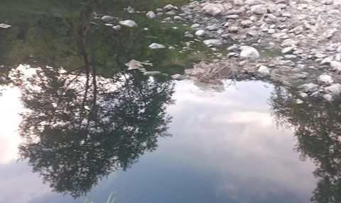 Gönen Çayı’nda kritik kirlilik: Bilim insanlarından acil eylem çağrısı