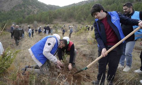 Gümüşhane'de 11 Kasım'da Sarıçam Fidanları Toprakla Buluştu