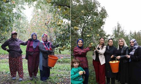 Gürsu'da Armut Hasadı: İş Kadınları ve Köylü Kadınlar Aynı Tarlada