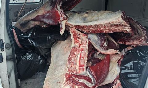 Hatay’ın Erzin ilçesinde menşei belirsiz 1 ton kırmızı et ele geçirildi