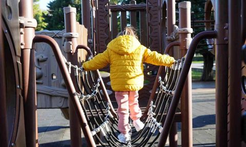 İlkadım’da sahipsiz hayvan sorununa çözüm: Çelikalan yaşam alanı misafir kabulüne başladı