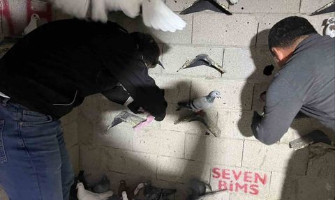 İskenderun'da kuş kümesine saklanan 2 kilo 500 gram sentetik kannabinoid ele geçirildi