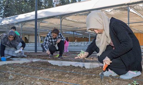 İzmir’de Mahalle Bostanlarında Kış Dikimleri Başladı
