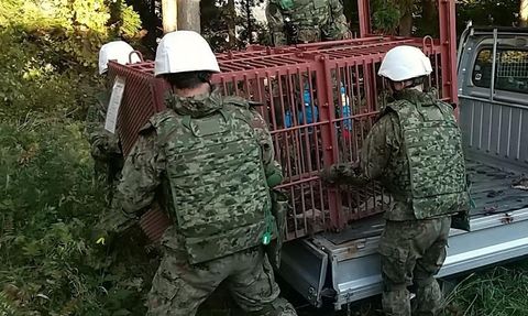 Japonya'da Ayı Saldırılarına Karşı Askeri Önlemler