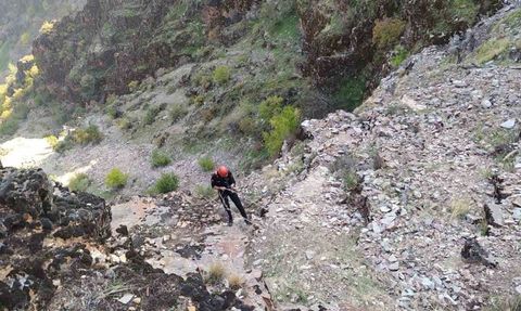 Kahramanmaraş'ta kayalıklarda mahsur kalan 5 keçi itfaiye ekiplerince kurtarıldı