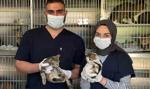 Karabük Belediyesi Sahipsiz Hayvan Bakımevi kışa hazır