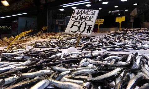 Karadeniz'de 35 yılın en bereketli hamsi sezonu