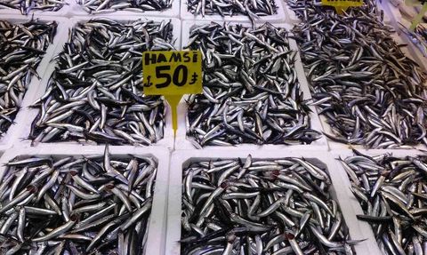 Karadeniz'de hamsi fışkırıyor: üç aydır süren bolluk