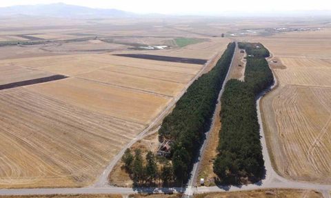Kars’ta Bozkırın Ortasındaki Vaha: Benliahmet Tren İstasyonu Havadan Görüntülendi