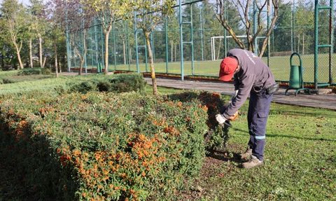 Kartepe'de Park ve Bahçelerde Kapsamlı Bakım