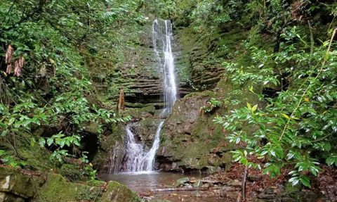 Kastamonu Güney Karadeniz Jeoparkı için UNESCO başvurusu UNESCO Türkiye Milli Komisyonu’na sunuldu