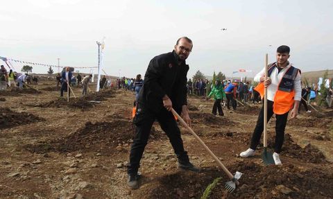 Kilis'te 11 Kasım Milli Ağaçlandırma Günü: Binlerce fidan toprakla buluştu