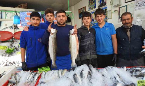 Kilis’te hamsi kilosu 100 liraya düştü — Karadeniz bolluğu tezgahlara yansıdı