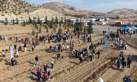 Kırıkkale’de Binlerce Fidan Toprakla Buluştu — Milli Ağaçlandırma Günü