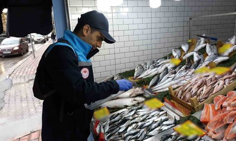 Kırklareli’nde iç sular ve su ürünleri satış noktalarına denetim