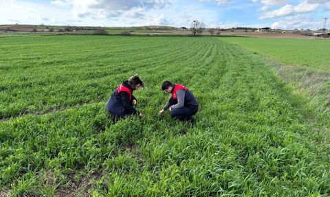 Kırklareli’nde kaba yem dağıtımı sonrası tarlalarda kontroller yapıldı