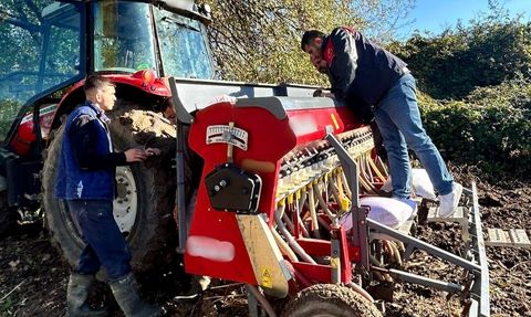Kırklareli Vize'de Yerli ve Milli Yulaf Çeşitleri Demonstrasyonu Kuruldu