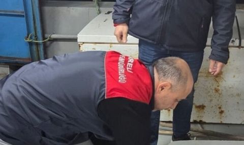 Kıyıköy Limanı'nda su ürünleri denetimi