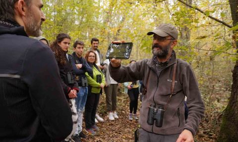 Kocaeli'de Doğa Turizmi: Ormanya ve Kuzuyayla'ın Büyüleyici Çekimi