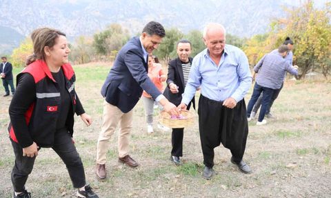 Kozan’da safran hasadı başladı — Gramı 600 TL’den alıcı buluyor