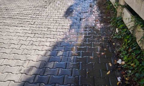 Mahallede aylardır süren su kaçağı: Tonlarca su boşa akıyor