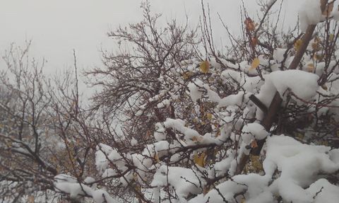 Malatya'da sağanak devam ediyor, yükseklerde kar etkili