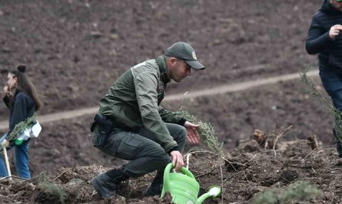 Manisa'da 2025 Sonuna Kadar 3,1 Milyon Fidan Toprakla Buluşacak