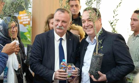 Manisa’da atık piller zeytin fidanına dönüşüyor