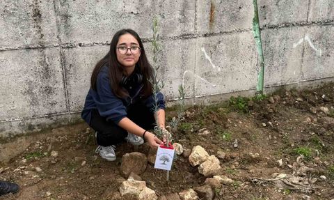 Manisa'da Okul Bahçesine 60 Zeytin Fidanı Dikildi