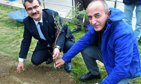 MCBÜ 'Yeşil Vatan Seferberliği'ne mavi servi desteği